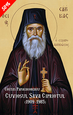Cuviosul Sava Cipriotul