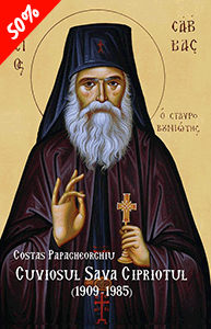 Cuviosul Sava Cipriotul